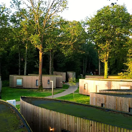 펜션 Romantic Forest Hideaway *